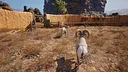 Ram Fights Screenshot 10