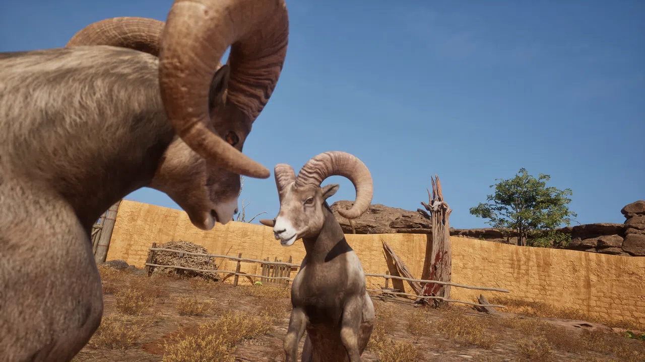 Ram Fights Screenshot 3