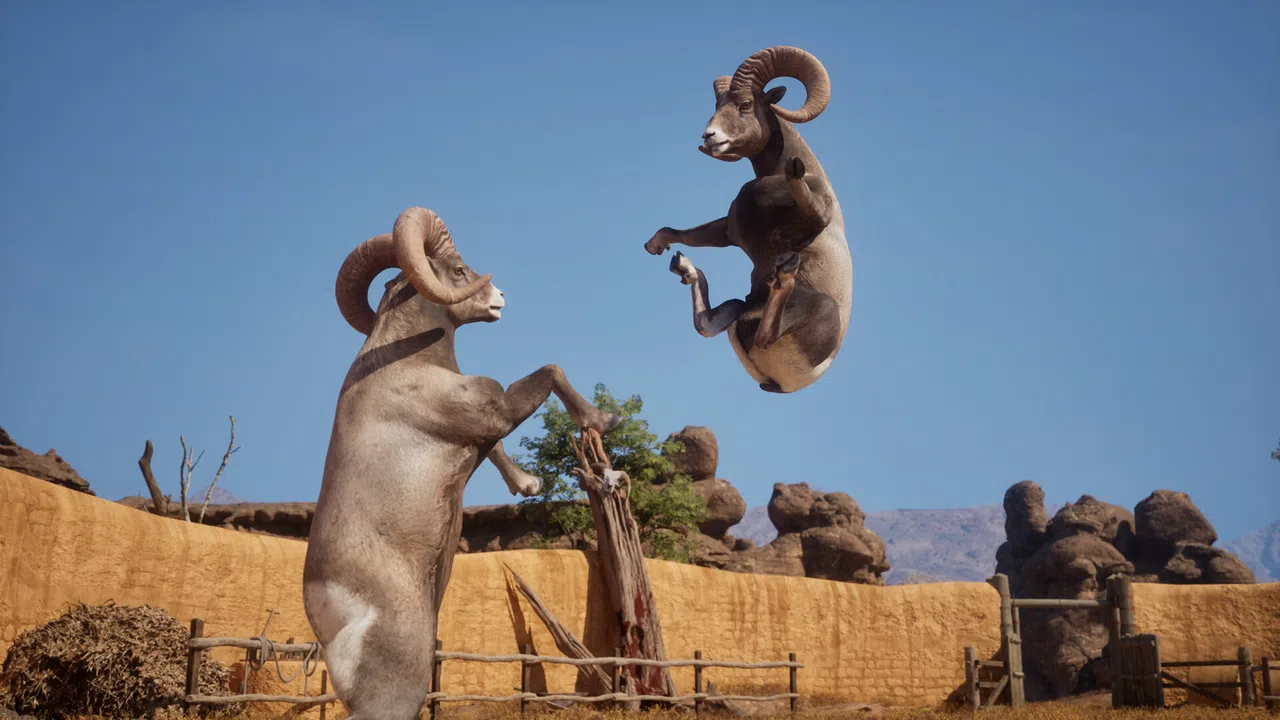 Ram Fights Screenshot 1