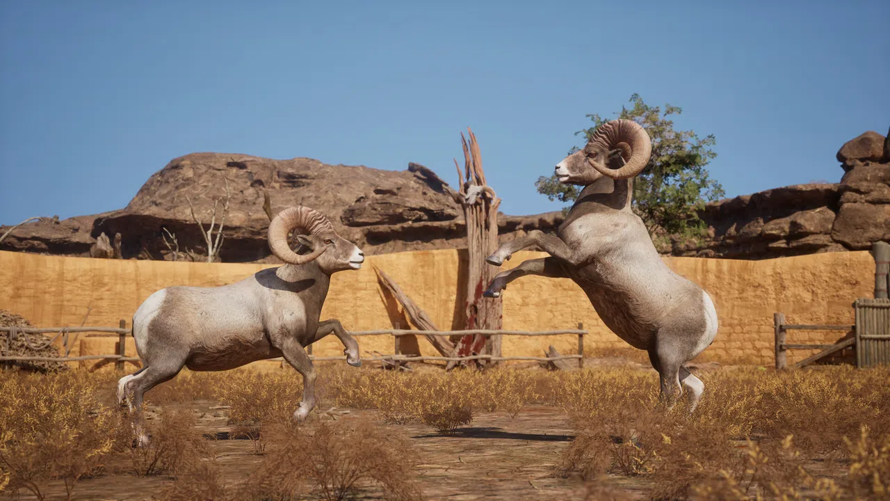 Ram Fights Screenshot 6