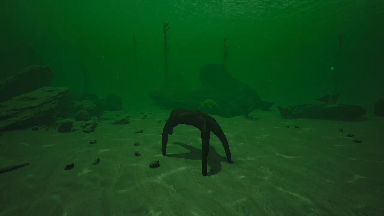Starfish Simulator 👍 Screenshot 2