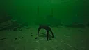 Starfish Simulator 👍 Screenshot 2