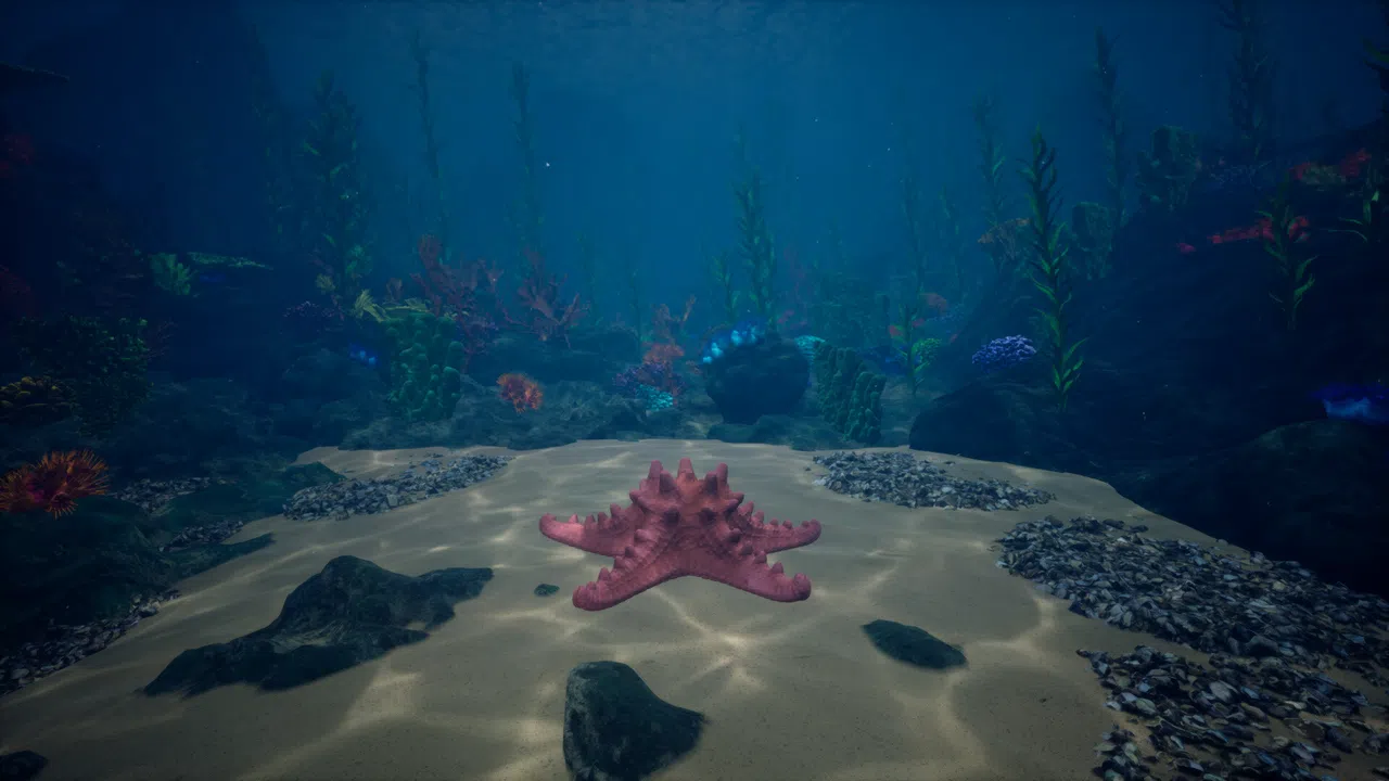 Starfish Simulator 👍 Screenshot 3