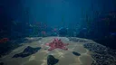 Starfish Simulator 👍 Screenshot 3