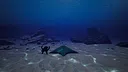 Starfish Simulator 👍 Screenshot 4