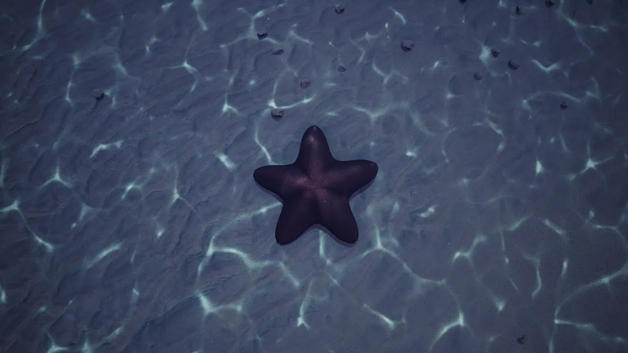 Starfish Simulator 👍 Screenshot 9
