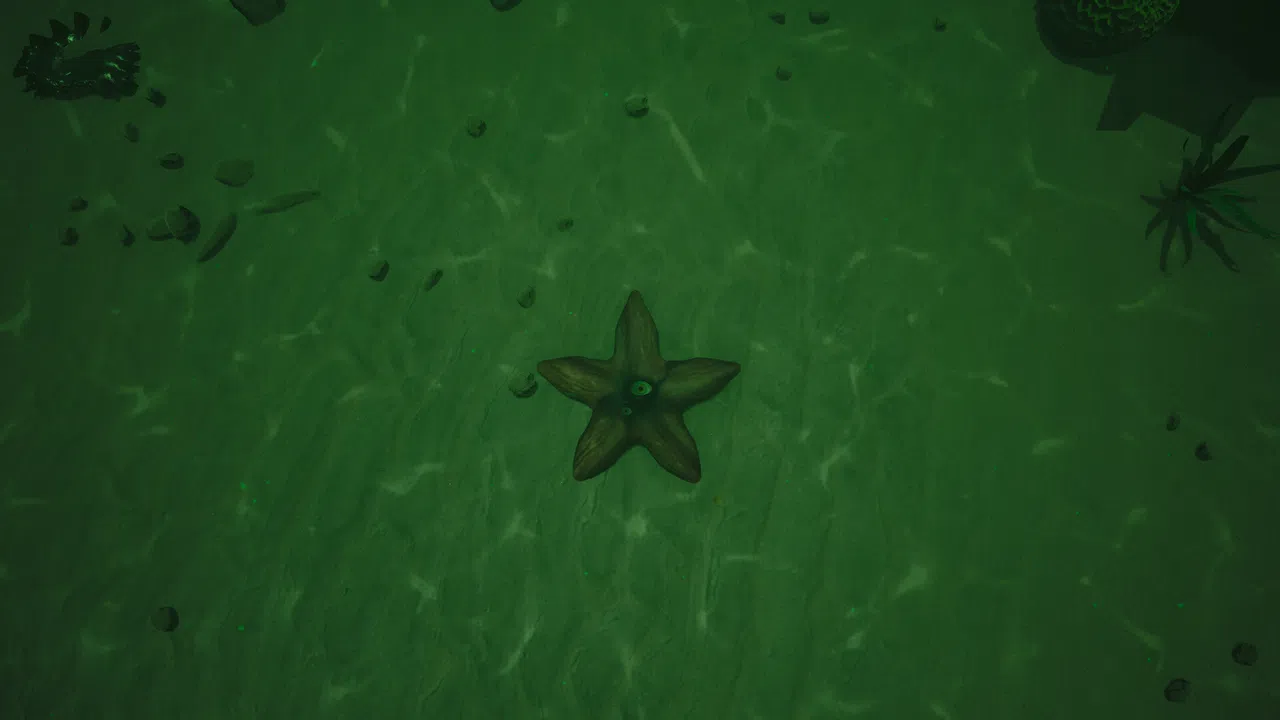 Starfish Simulator 👍 Screenshot 7