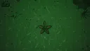 Starfish Simulator 👍 Screenshot 7