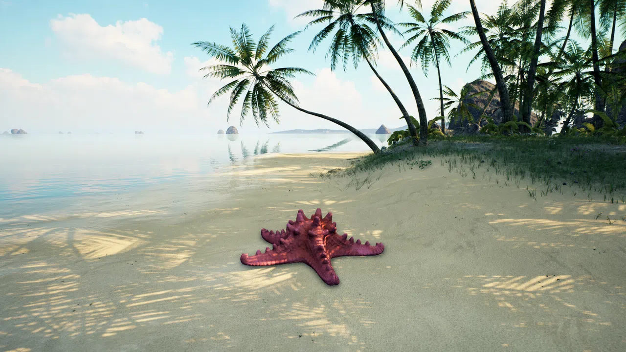 Starfish Simulator 👍 Screenshot 0
