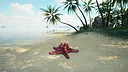 Starfish Simulator 👍 Screenshot 0