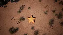 Starfish Simulator 👍 Screenshot 10