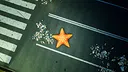 Starfish Simulator 👍 Screenshot 12