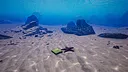 Starfish Simulator 👍 Screenshot 1