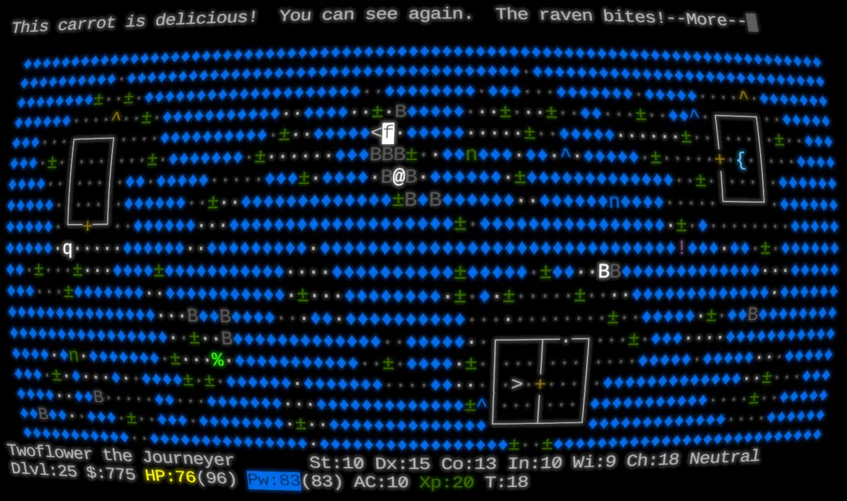 NetHack: Legacy Screenshot 4