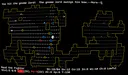 NetHack: Legacy Screenshot 1