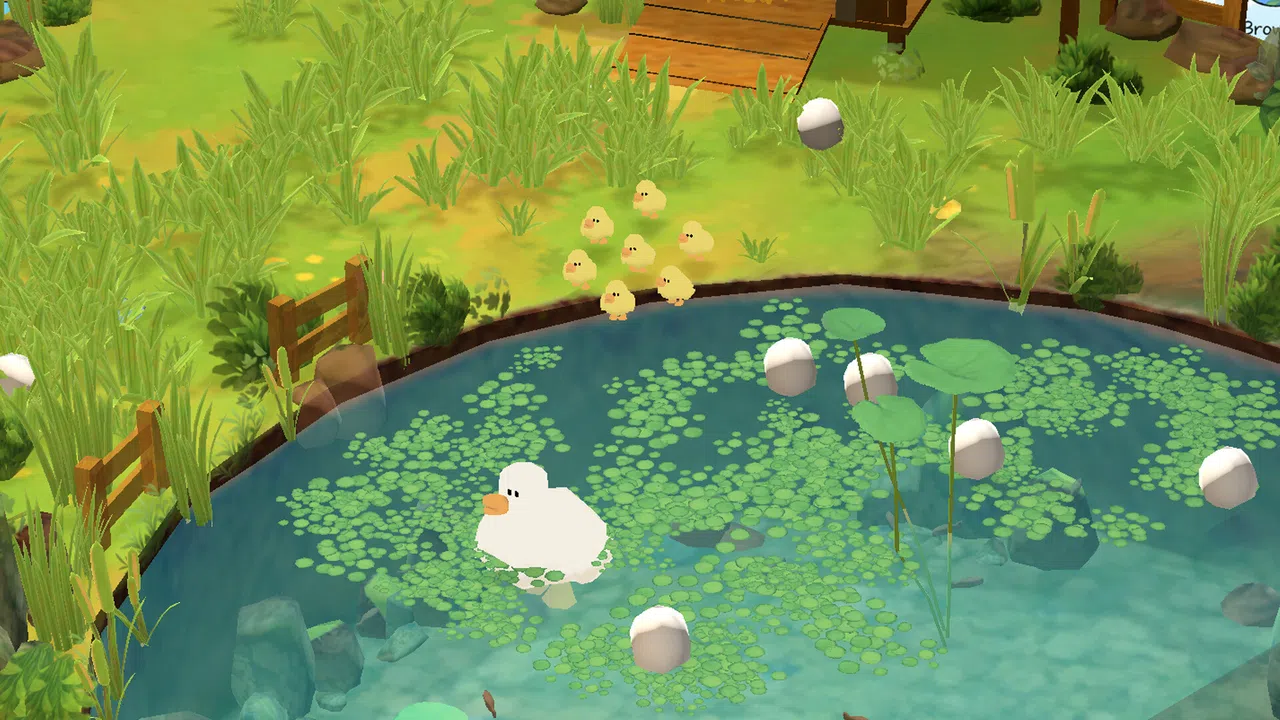 Hello Duck Screenshot 6
