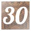 Level 30 icon
