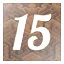 Level 15 icon