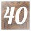 Level 40 icon