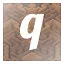 q icon