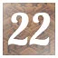 Level 22 icon