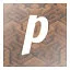 p icon