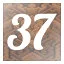 Level 37 icon