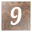 Level 9 icon