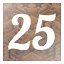 Level 25 icon