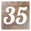 Level 35 icon