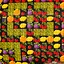 Panic Addict  icon