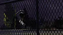 Newbie: Become a Skateboarder Screenshot 7