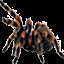kill 1000 spider icon