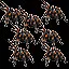 kill 2500 spiders icon