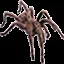 kill 500 spiders icon