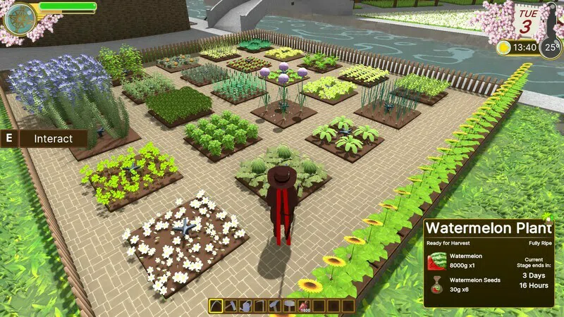 Everyday Life Edengrall Demo Screenshot 0