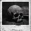 Die Hard icon