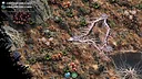 Mycelium Conquest Screenshot 2