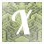 X icon