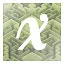 x icon