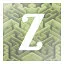 Z icon