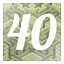 Level 40 icon