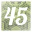 Level 45 icon