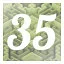 Level 35 icon