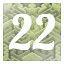 Level 22 icon