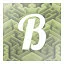B icon
