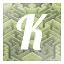 K icon