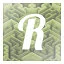 R icon