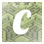 c icon