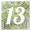 Level 13 icon